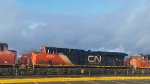 CN 2975